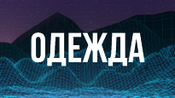 Одежда